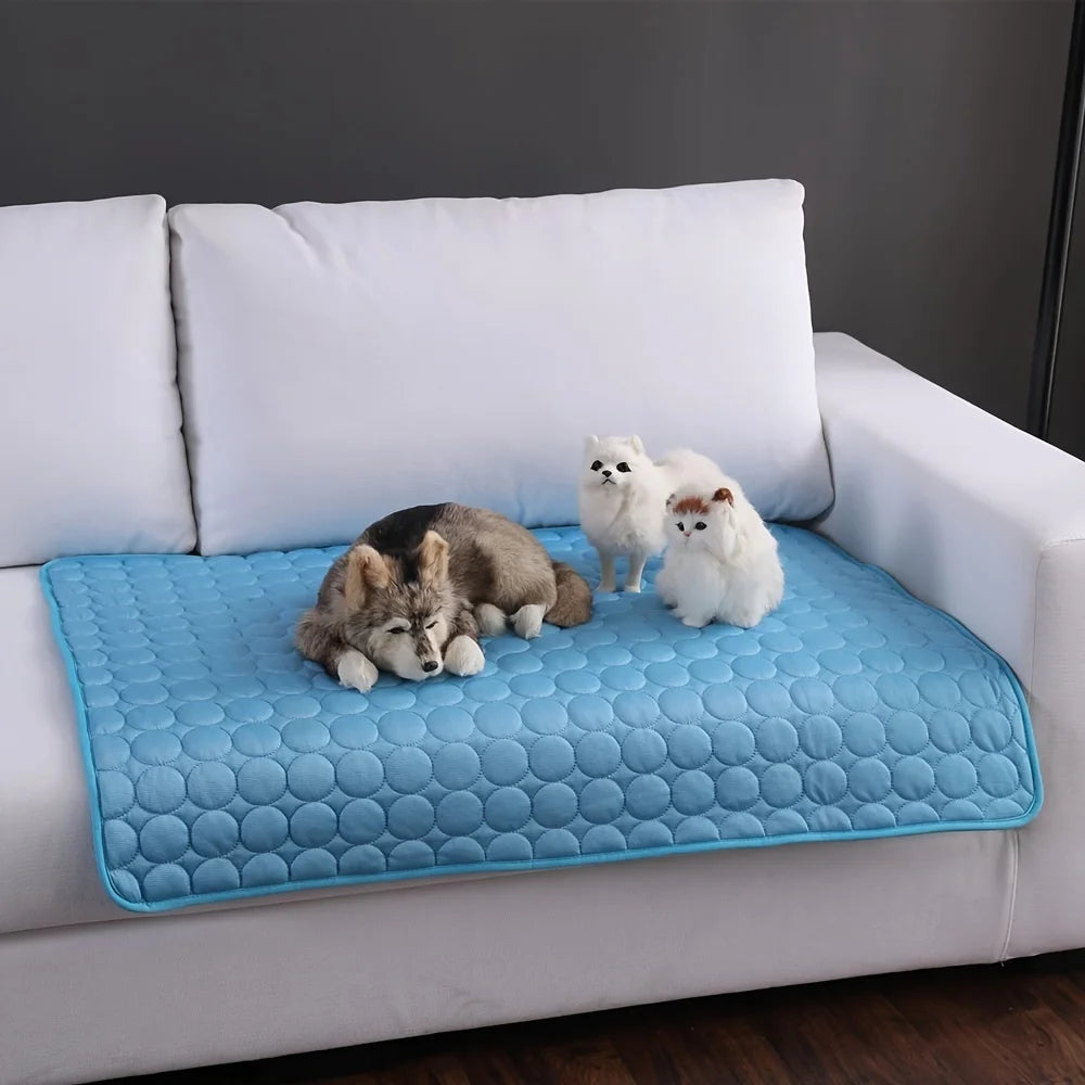 Chien et chat allongés sur tapis rafraîchissant bleu